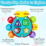 Bilingual Musical Crawling Toy for Infants