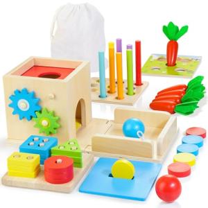 8-in-1 Montessori Wooden Activity Play Kit