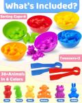 Oomloid Counting Animals Montessori Toy for Kids