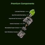 Glorious Raptor Clicky Switches for RGB Keyboards