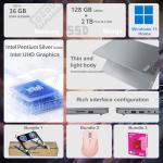 Lenovo IdeaPad 1i Laptop with 36GB RAM