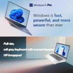HP 17.3" Business Laptop with AMD Ryzen 5