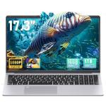 17.3" FHD IPS Business Laptop with 16GB RAM
