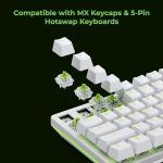Glorious Raptor Clicky Switches for RGB Keyboards