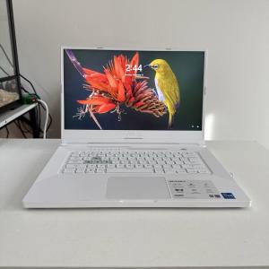 ASUS TUF Dash F15 Gaming Laptop with RTX 3070