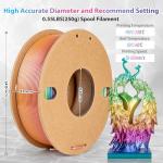Silk Rainbow PLA Filament 1.75mm for FDM Printers