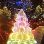 Zi-Rui Iridescent Crystal PETG 1.75mm Filament, Translucent Rainbow Transition with Pink, Yellow, Green Shades, 1KG (2.2lb), High Compatibility