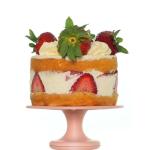 High Speed Certified Food Grade PLA+ 3D Printer Filament - 60-600mm/s - CARBON by Comfy Materials - Lab Tested FDA Compliant Food Safe, 1.75mm, 1kg, Accuracy: +/- 0.02 (Semi-Transparent)