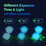 Arrange Lines PLA Filament Glow in Dark, Multicolor Rainbow 3D Printer Filament Bundle, 1.75MM Glow 3D Printing Filament for Most FDM 3D Printer, Gifts for 3D Printing Enthusiasts, 200g x 4 Spools