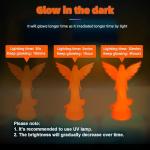 XZN PLA Filament Glow in The Dark, 3D Printer Filament 1.75mm, 1KG Glow PLA Filament Luminous (Glow Orange)