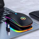Rechargeable RGB Wireless Optical Mouse for PC