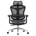 SIHOO Mid-Back Ergonomic Office Chair - Gray