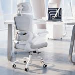 Ergonomic Office Chair with Adjustable Headrest