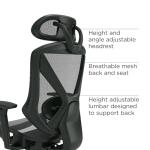 Staples Dexley Mesh Office Chair