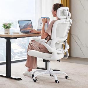 Ergonomic High Back Office Chair with Wheels