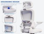 Ergonomic Office Chair with Adjustable Headrest
