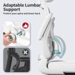 Ergonomic High Back Office Chair with Wheels