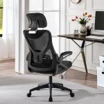 Yaheetech Ergonomic Office Chair, High Back Desk Chair with Headrest and Flip-up Armrest Lumbar Support for Home Office Meeting Room Study, Black