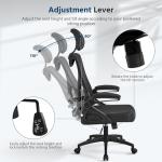Yaheetech Ergonomic Office Chair, High Back Desk Chair with Headrest and Flip-up Armrest Lumbar Support for Home Office Meeting Room Study, Black