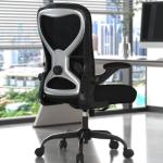 Ergonomic Office Chair with Lumbar Support and Cushion