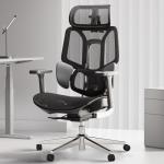 Hbada E3 Air Big and Tall Ergonomic Chair