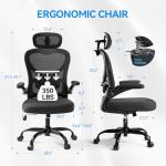 Freepub 3D Ergonomic Office Chair with Headrest
