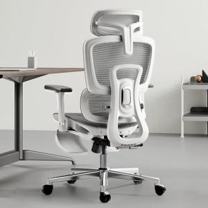 Hbada Adjustable Ergonomic Office Chair for Comfort