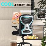 Ergonomic Office Chair with Lumbar Support and Cushion