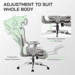 High Back Mesh Ergonomic Office Chair with Footrest