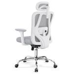 DEVAISE White Ergonomic Office Chair
