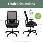 Adjustable Lumbar Mid-Back Office Chair - Black