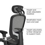 STAPLES Hyken Ergonomic Swivel Task Chair, Adjustable with Breathable Mesh & Lumbar Support, Perfect for Home & Office, Charcoal Gray