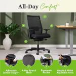 Adjustable Lumbar Mid-Back Office Chair - Black