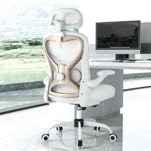 Ergonomic Office Chair with 2D Lumbar Support