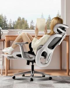 Hbada P2 Ergonomic Office Chair with Lumbar Support