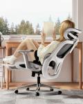Hbada P2 Ergonomic Office Chair with Lumbar Support