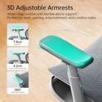 Hbada P2 Ergonomic Office Chair with Lumbar Support