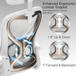 Ergonomic Office Chair for Back & Neck Pain Relief, Virgin Foam Seat, 2D Adjustable Lumbar & 3D Headrest, Tilt & Rock for Relaxation, Ideal for Long Sitting Comfort, White/Gold