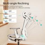 Hbada P2 Ergonomic Office Chair with Lumbar Support