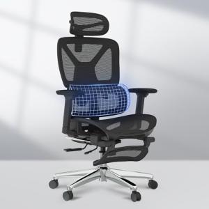 FLEXISPOT OC4-SD Ergonomic Office Chair with Footrest