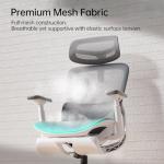 Hbada P2 Ergonomic Office Chair with Lumbar Support