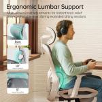 Hbada P2 Ergonomic Office Chair with Lumbar Support
