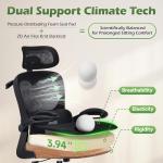 AreShark Office Chair Ergonomic Desk Chairs with Adjustable Lumbar Support& Headrest Hanger, High Back Breathable Mesh Chair with Wheels, Rolling Swivel Comfy Task Computer Chair for Home Work Gaming