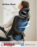 Adjustable Ergonomic High Back Office Chair