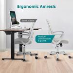 Ergonomic Mid Back Mesh Office Chair with Lumbar Support