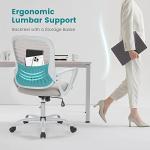 Ergonomic Mid Back Mesh Office Chair with Lumbar Support