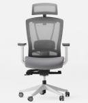 Autonomous ErgoChair 2 (now ErgoChair Pro) Cool Gray Ergonomic Desk Chair