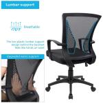 Furmax Ergonomic Mesh Mid Back Office Chair
