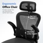 Ergonomic Executive Chair with Lumbar Support Mesh Home Office Chair Desk Chair