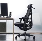 LiberNovo Ergonomic Office Chair - Black, 48" Depth